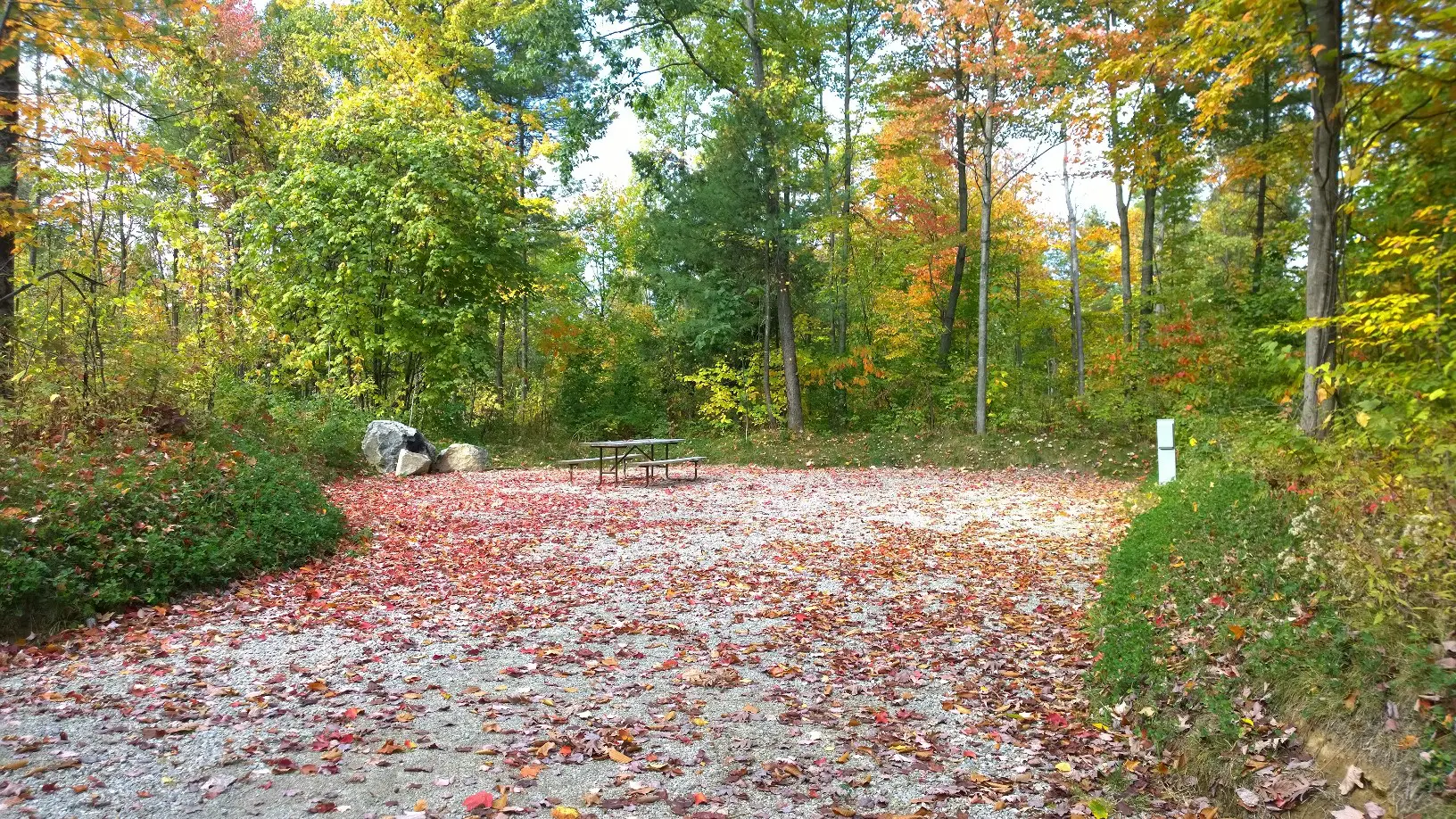 vacant campsite in autumn at moose hillock resort in lake george ny
