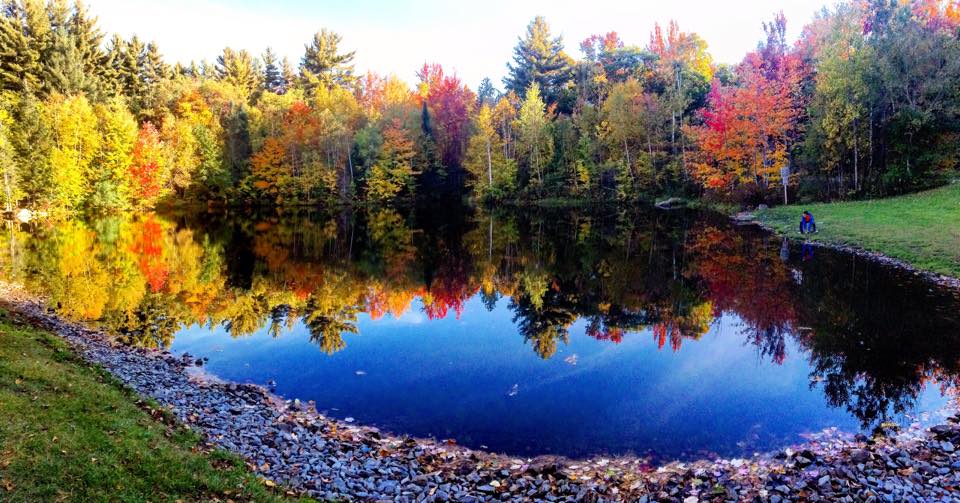 Fall scenery around pond