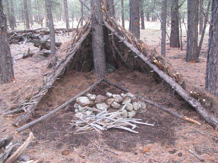 Tent made of sticks and logs