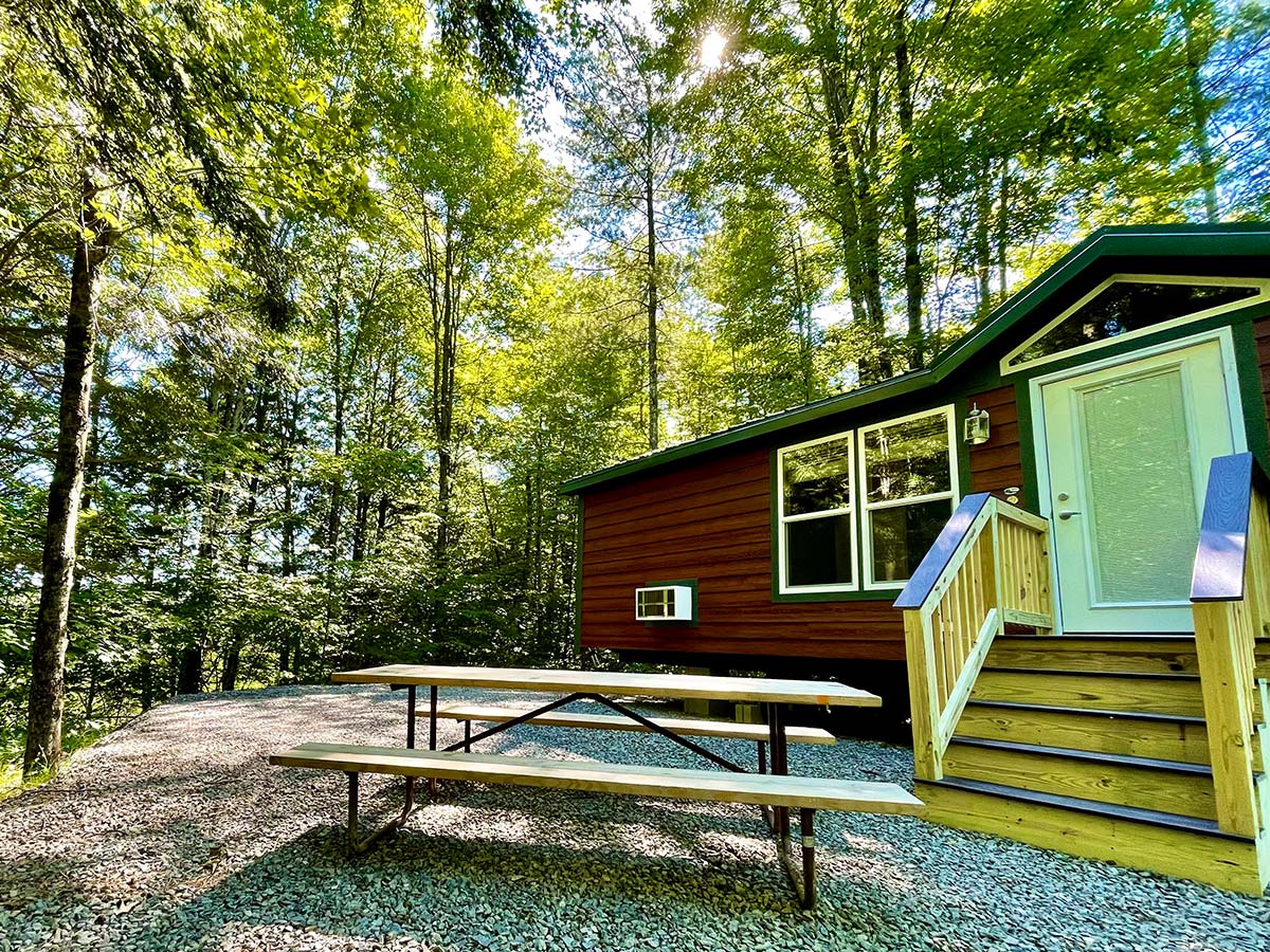 Deluxe Cabin picnic table